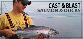 alaska cats and blast