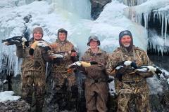 Duck_season_2021_Alaska_seaducks_common_merganser