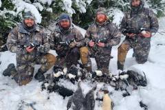 Duck_season_2021_Alaska_seaducks_harlies2