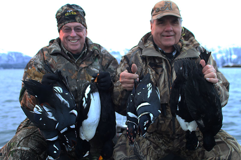 geo duck diving alaska geo duck diving alaska