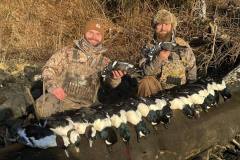 harlequin-and-barrows